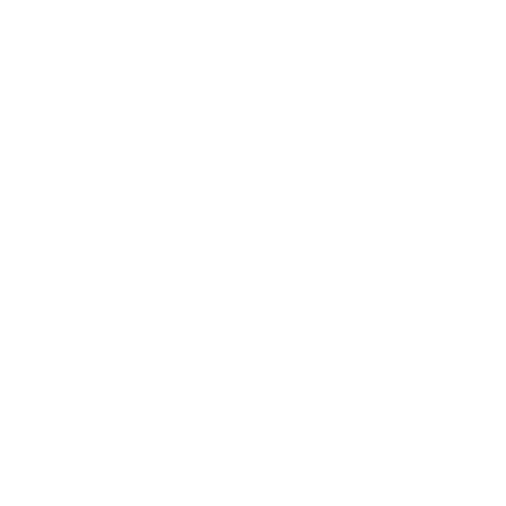 やさしい日本語