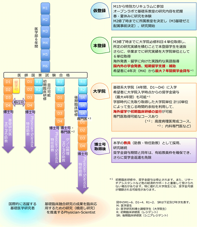 プログラム概要